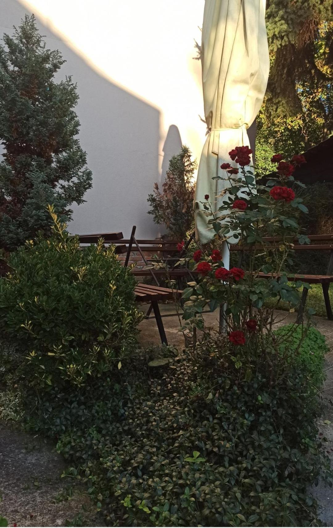 Apartman Oaza Olja 베오그라드 외부 사진